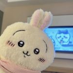 wiso的头像-iOS18Game